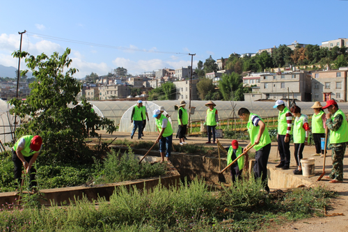 小营社区开展“保护滇池·清洁田园” 志愿者活动 中国科学网www.minimouse.com.cn 小营社区开展“保护滇池·清洁田园” 志愿者活动 中国科学网www.minimouse.com.cn